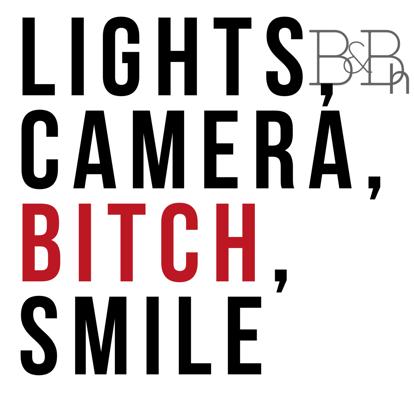 Lights, Camera, Bitch, Smile - 2.5" x 2.5" vinyl sticker